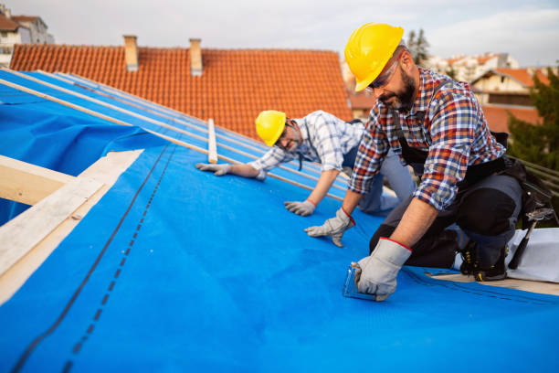 Best Green or Eco-Friendly Roofing Solutions  in Gloucester City, NJ